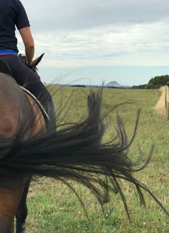 A rider training with the equipment used in the DRT2 program