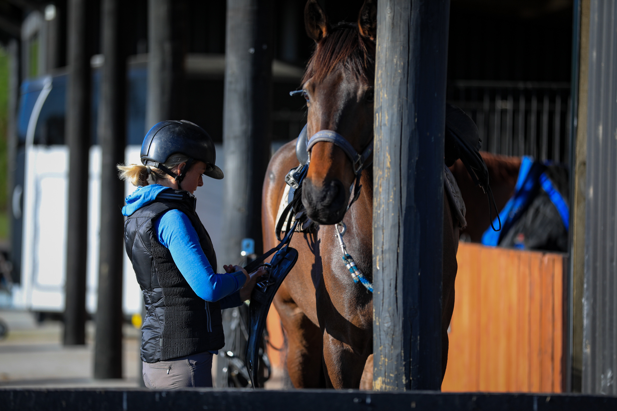 A dressage athlete training with focus and purpose