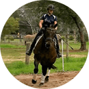 Sarah Baldwin, dressage rider